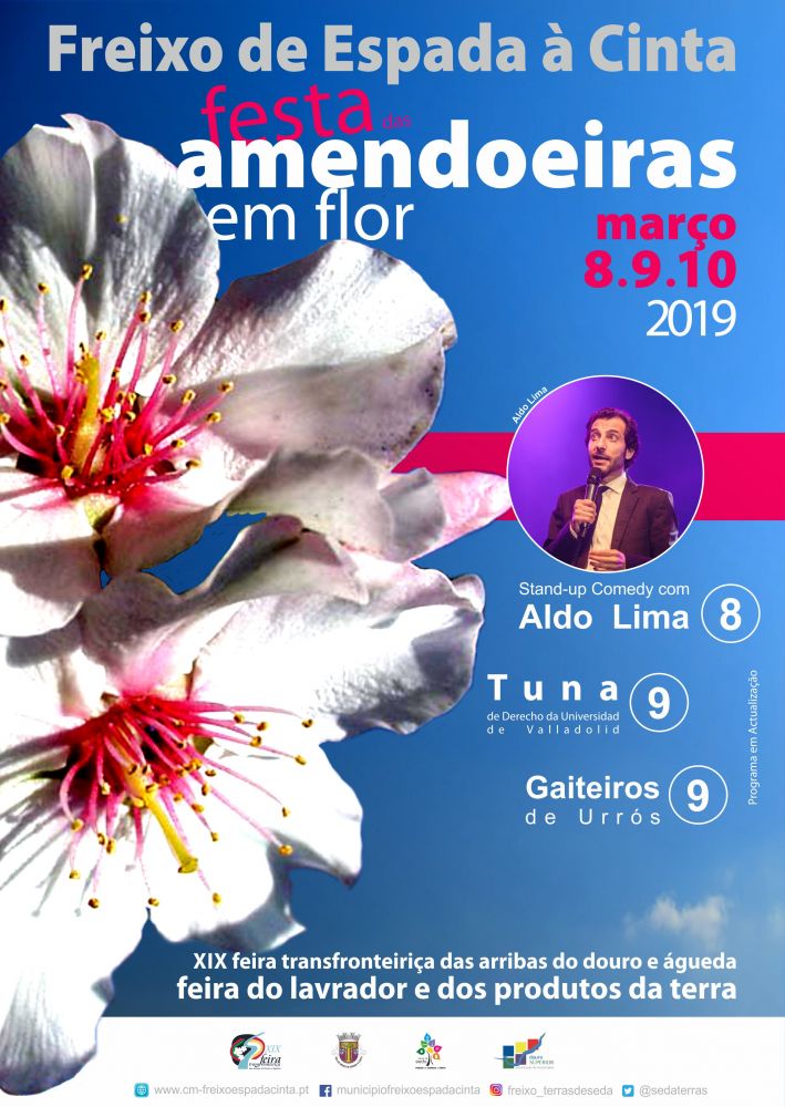 Amendoeiras em flor
