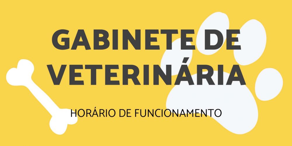 Gabinete de Veterinária