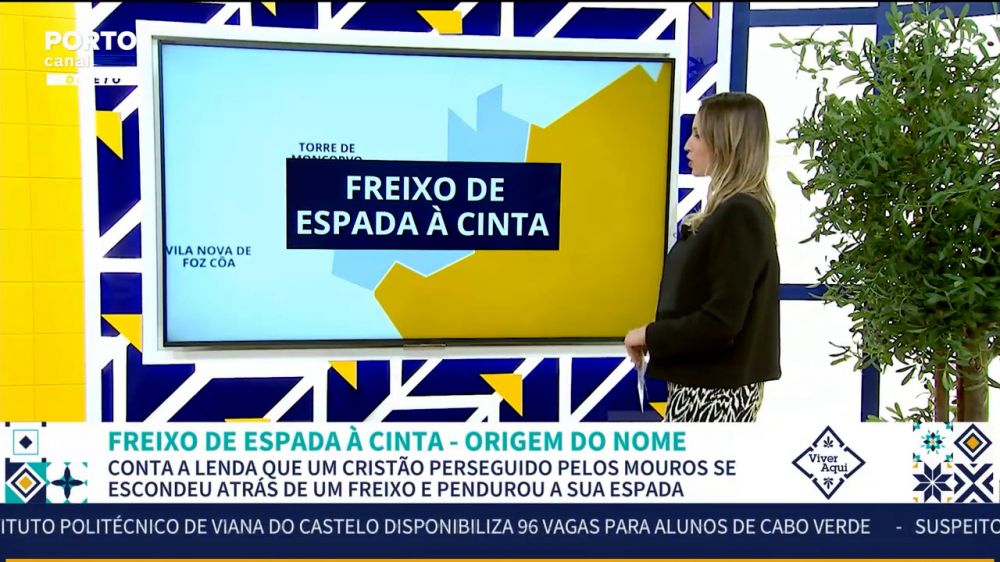 Freixo de Espada à Cinta no Porto Canal