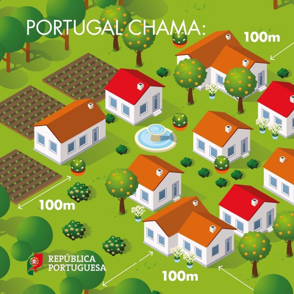Gestão de Combustível / Vegetação